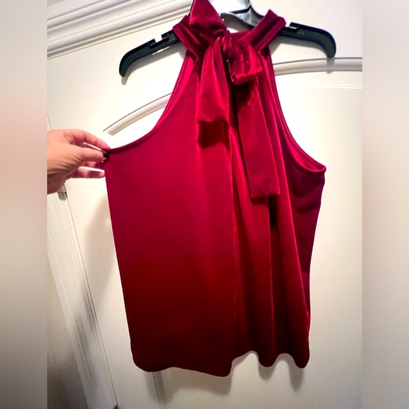 NWOT- Shinestar gorgeous red velvet top. Back neck tie. Size Large - Picture 4 of 4